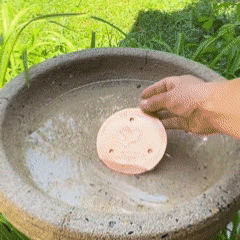 🥇ODALIT™ 99.99% Pure Copper Bird Bath Disk — Keep Your Birdbath Clean Naturally, All Season Long! No Chemicals, No Hassle.