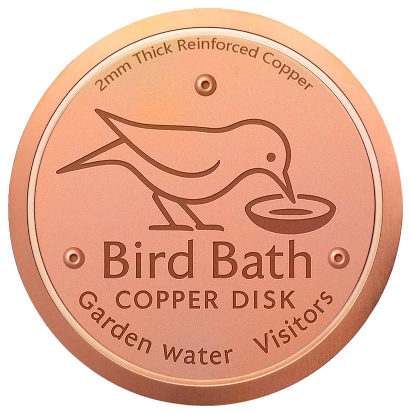 🥇ODALIT™ 99.99% Pure Copper Bird Bath Disk — Keep Your Birdbath Clean Naturally, All Season Long! No Chemicals, No Hassle.