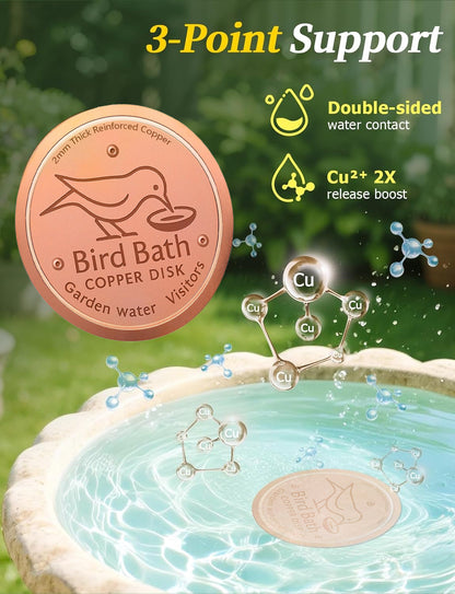 🥇ODALIT™ 99.99% Pure Copper Bird Bath Disk — Keep Your Birdbath Clean Naturally, All Season Long! No Chemicals, No Hassle.