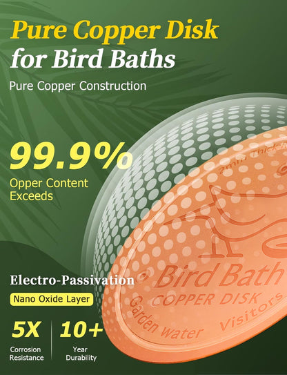 🥇ODALIT™ 99.99% Pure Copper Bird Bath Disk — Keep Your Birdbath Clean Naturally, All Season Long! No Chemicals, No Hassle.