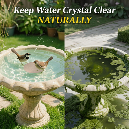 🥇ODALIT™ 99.99% Pure Copper Bird Bath Disk — Keep Your Birdbath Clean Naturally, All Season Long! No Chemicals, No Hassle.